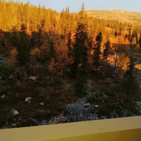 Enjoy Yllaes - Cozy Floor